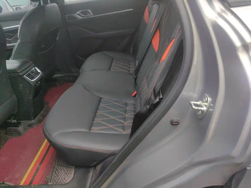 Haval Shenshou — миниатюра 18
