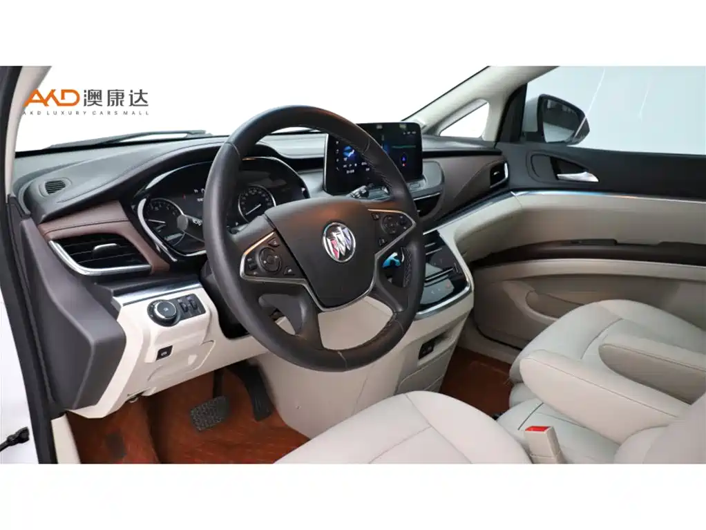 Buick GL8 — миниатюра 6