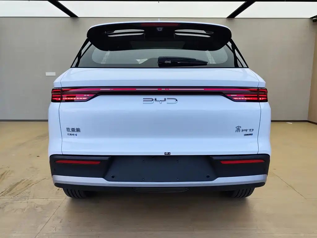 BYD Pro New Energy — миниатюра 9