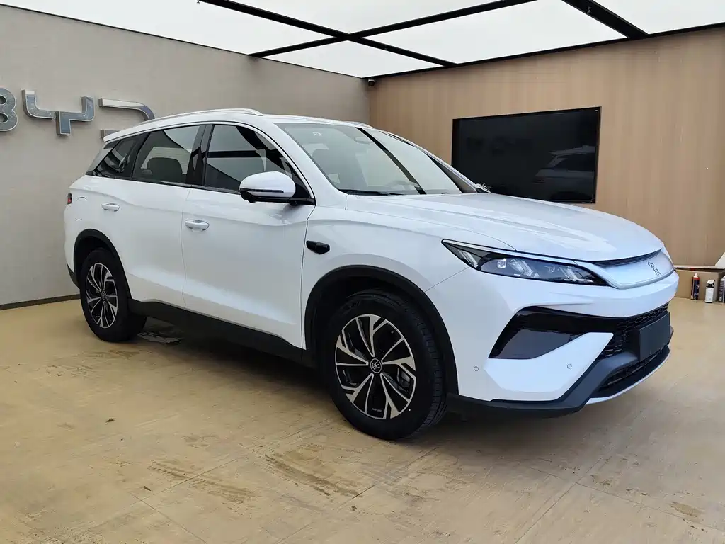 BYD Pro New Energy — миниатюра 3