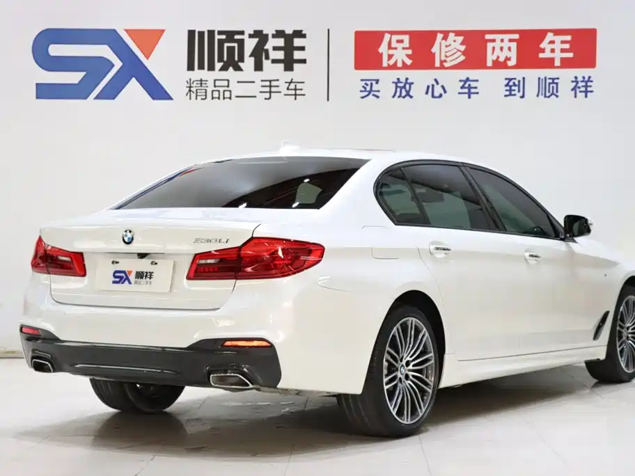 BMW 5 Series — миниатюра 4