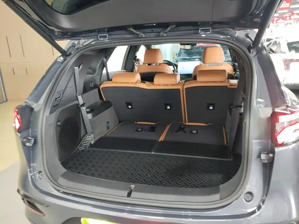 BYD Tang New Energy — миниатюра 19