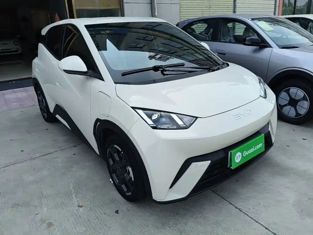 BYD Seagull 2024 305km Freedom