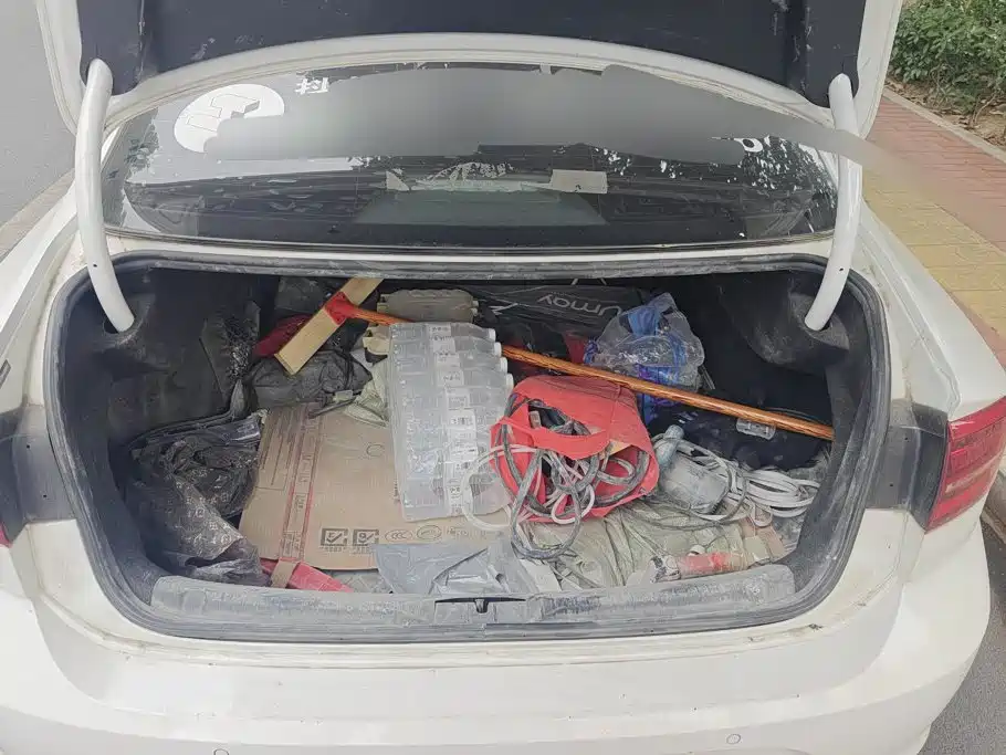 Volkswagen Lamando — миниатюра 4