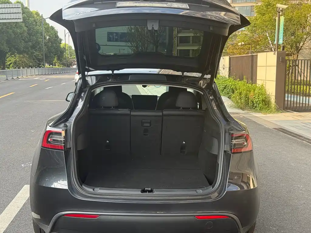 Tesla Model Y — миниатюра 13