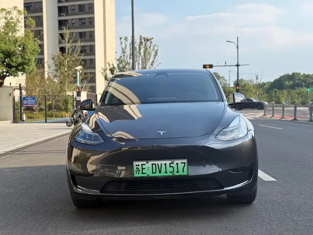 Tesla Model Y — миниатюра 2