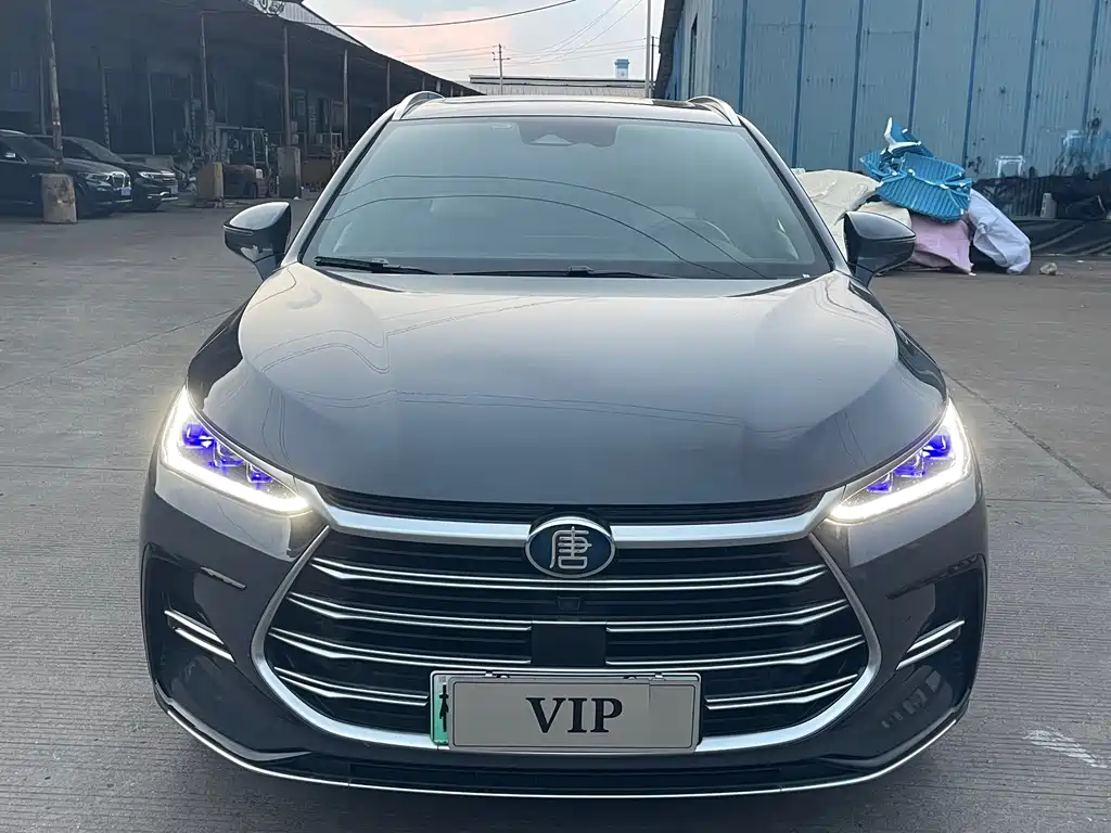 BYD Tang New Energy — миниатюра 2