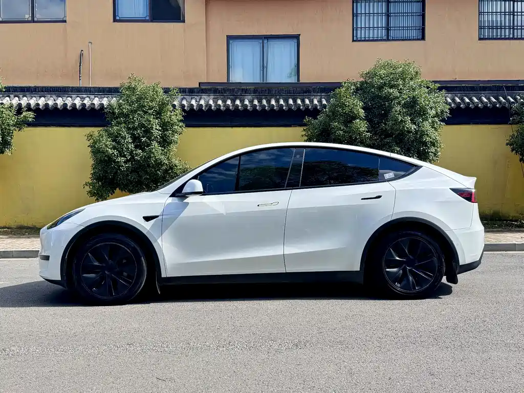 Tesla Model Y — миниатюра 4