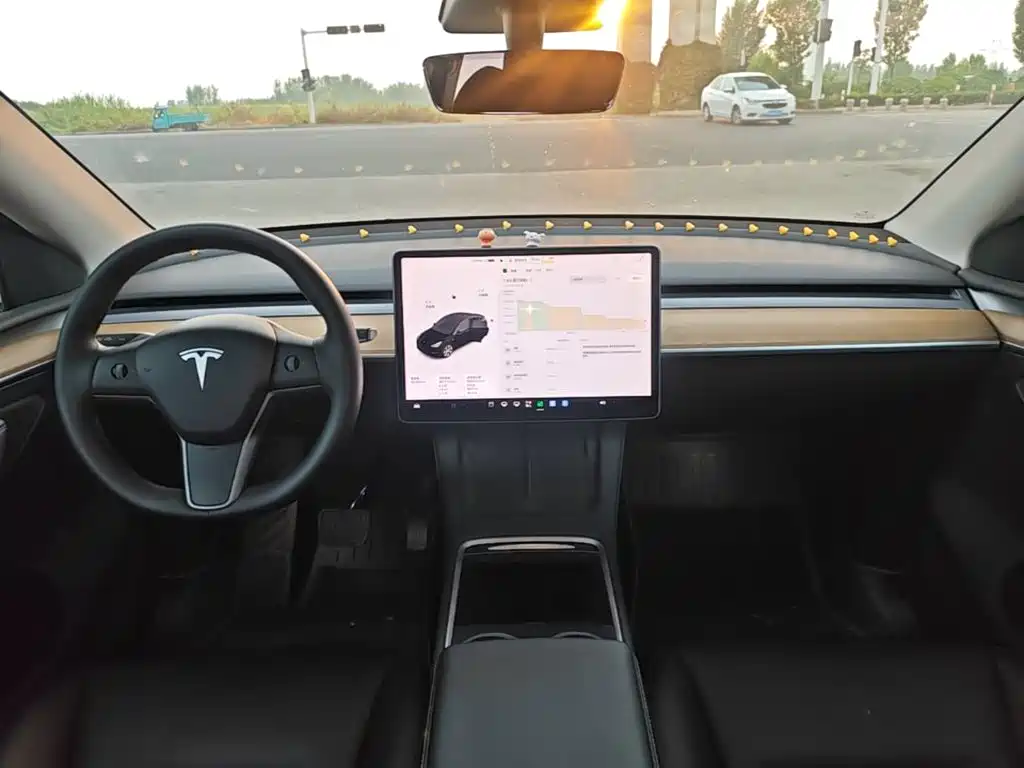 Tesla Model Y — миниатюра 10