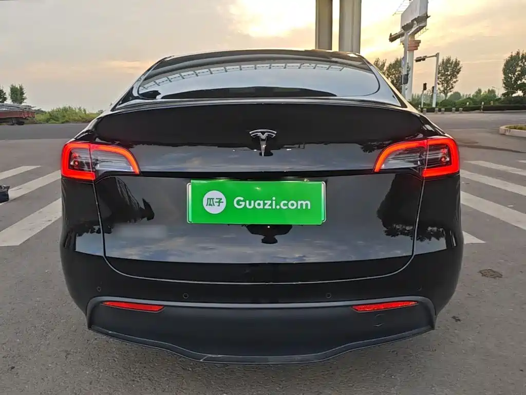 Tesla Model Y — миниатюра 6
