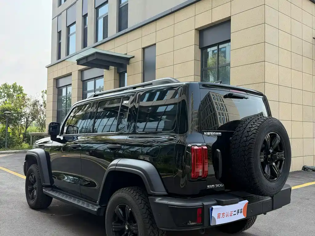 Tank Tank 300 — миниатюра 7