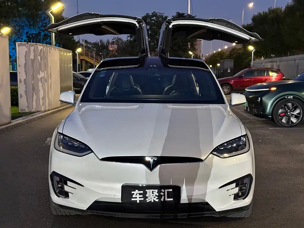 Tesla Model X — миниатюра 2