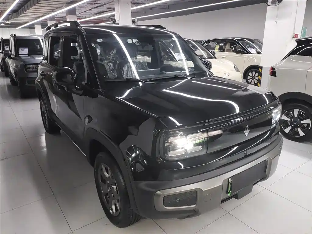 Baojun YepPlus Plus 2026 301km Flagship