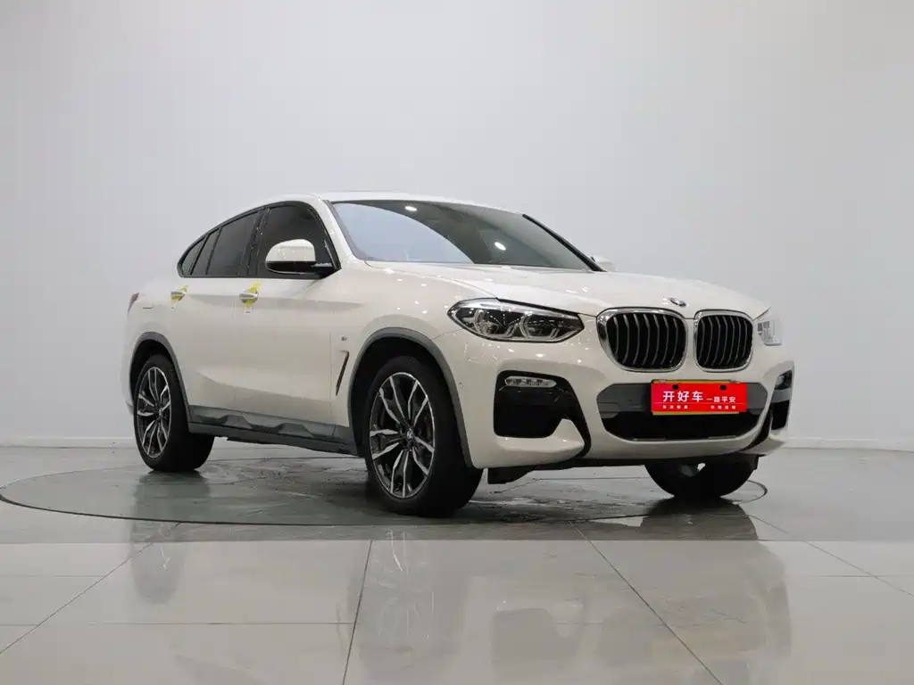 BMW X4 2019 xDrive25i M