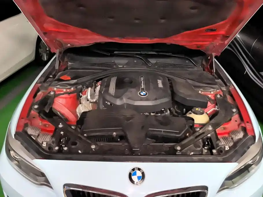 BMW 2 Series (Import) — миниатюра 10