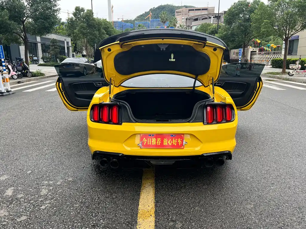 Ford Mustang — миниатюра 10