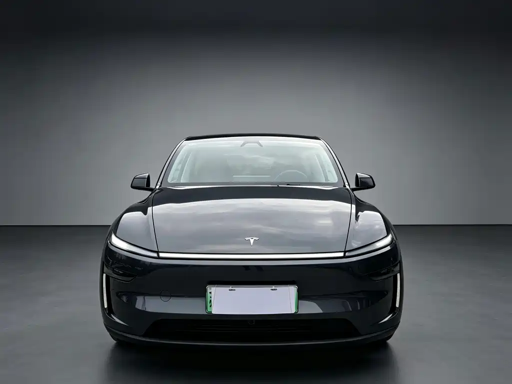 Tesla Model Y — миниатюра 2