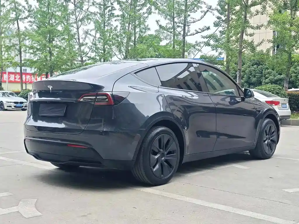 Tesla Model Y — миниатюра 4