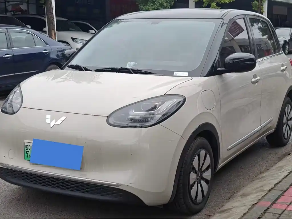 Wuling Binguo