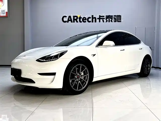 TESLA MODEL 3 2020