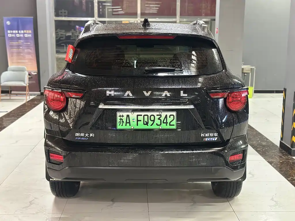 HAVAL SECOND GENERATION BIG DOG NEW ENERGY