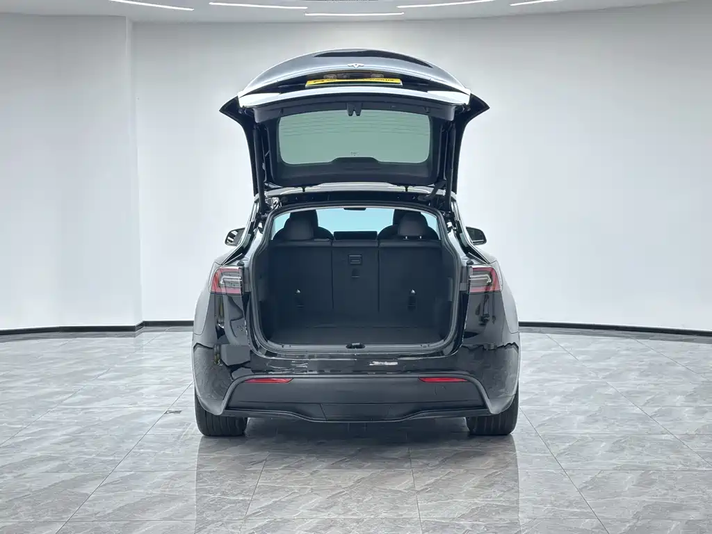 Tesla Model Y — миниатюра 11