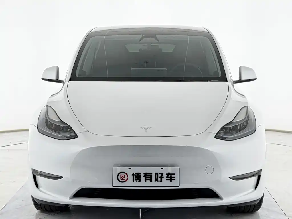 Tesla Model Y — миниатюра 2