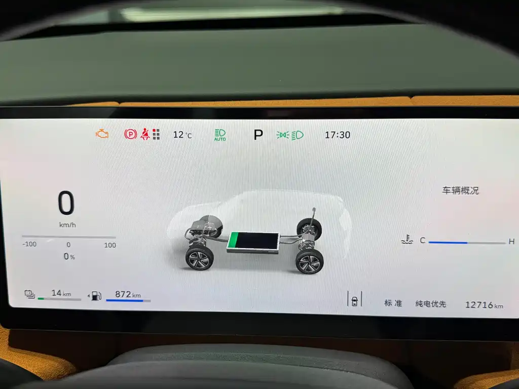 WEI PAI WEI BRAND BLUE MOUNTAIN