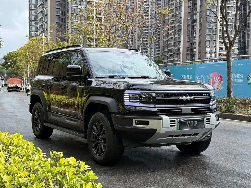 FANG CHENG BAO LEOPARD 5