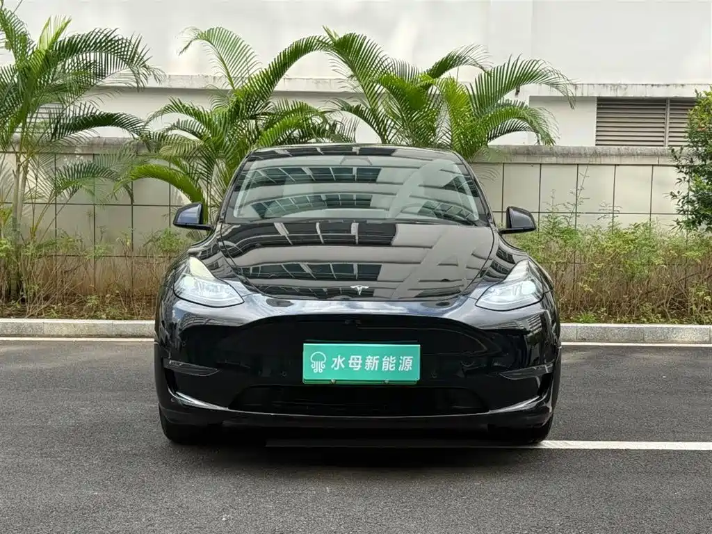 Tesla Model Y — миниатюра 2
