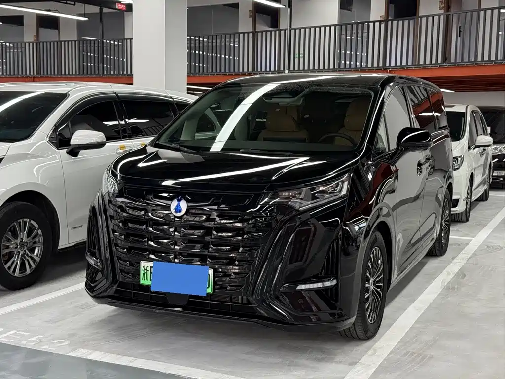 Denza Denza D9