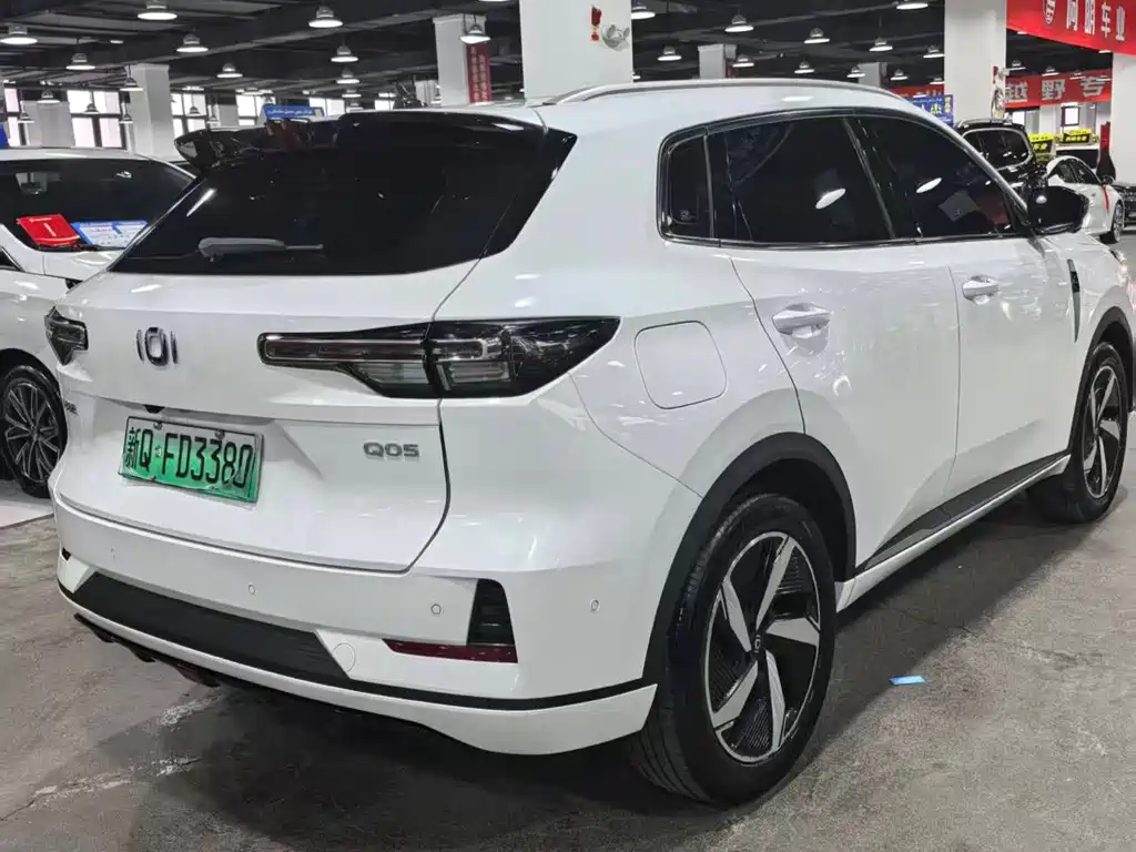 Qiyuan Чанг Ан Кай Q05 классика. — миниатюра 4