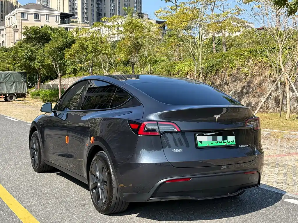 Tesla Model Y — миниатюра 7