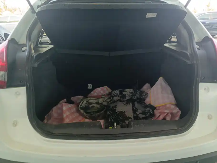 Chery Tiggo 3x — миниатюра 4