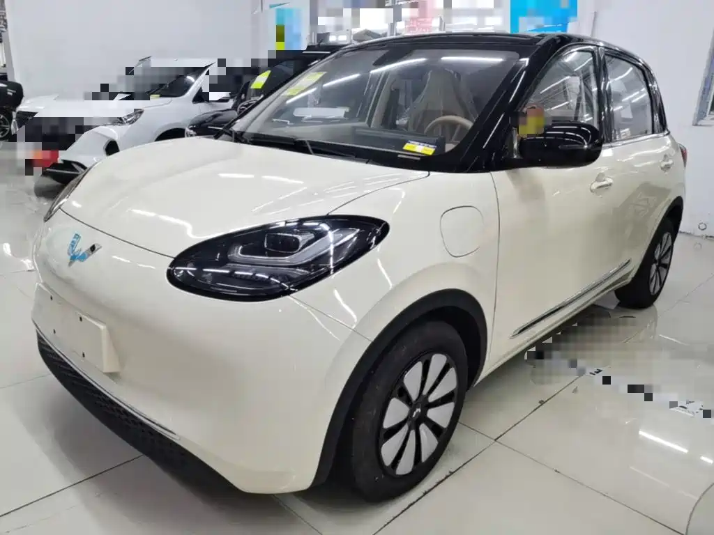 Wuling Binguo 2025 333km Enjoy