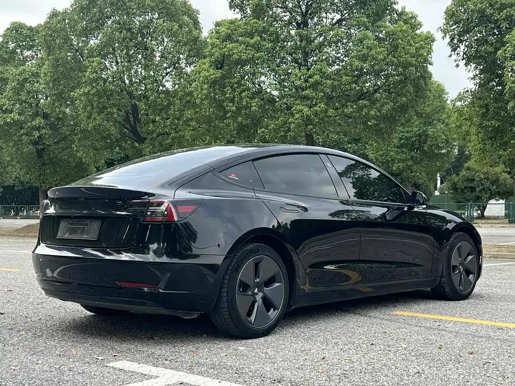 Tesla Model 3 — миниатюра 7