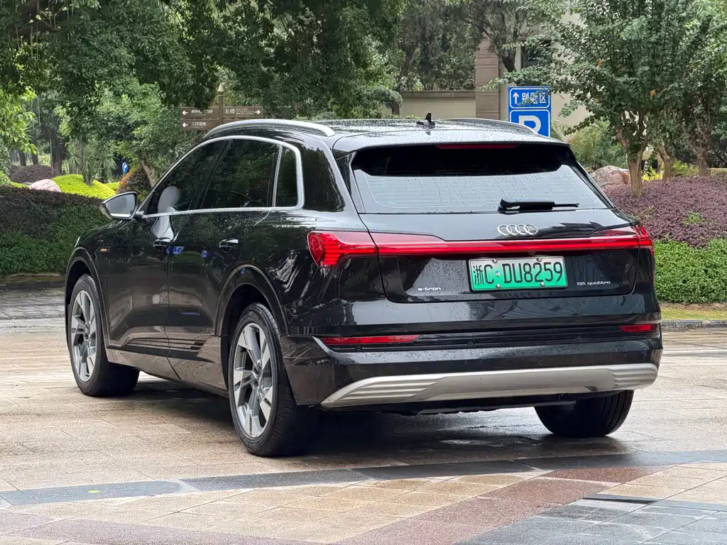 Audi e-tron (Import) — миниатюра 6