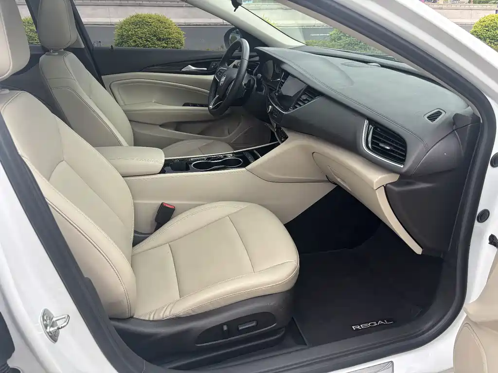 Buick Regal — миниатюра 14
