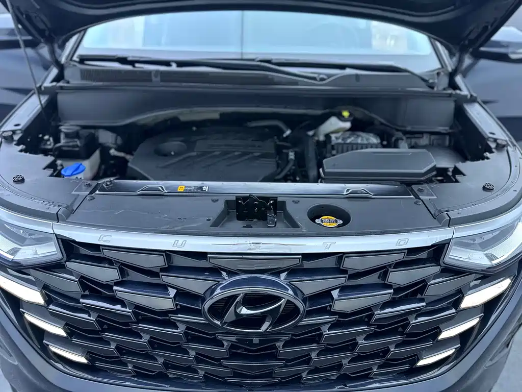 Hyundai Custo — миниатюра 36