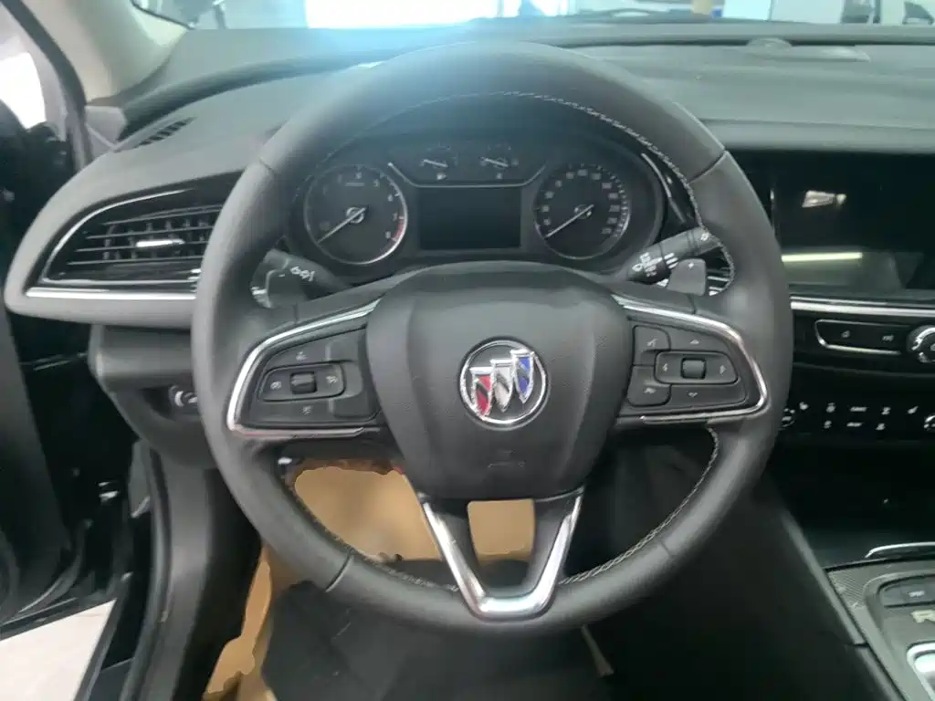 Buick Regal — миниатюра 11