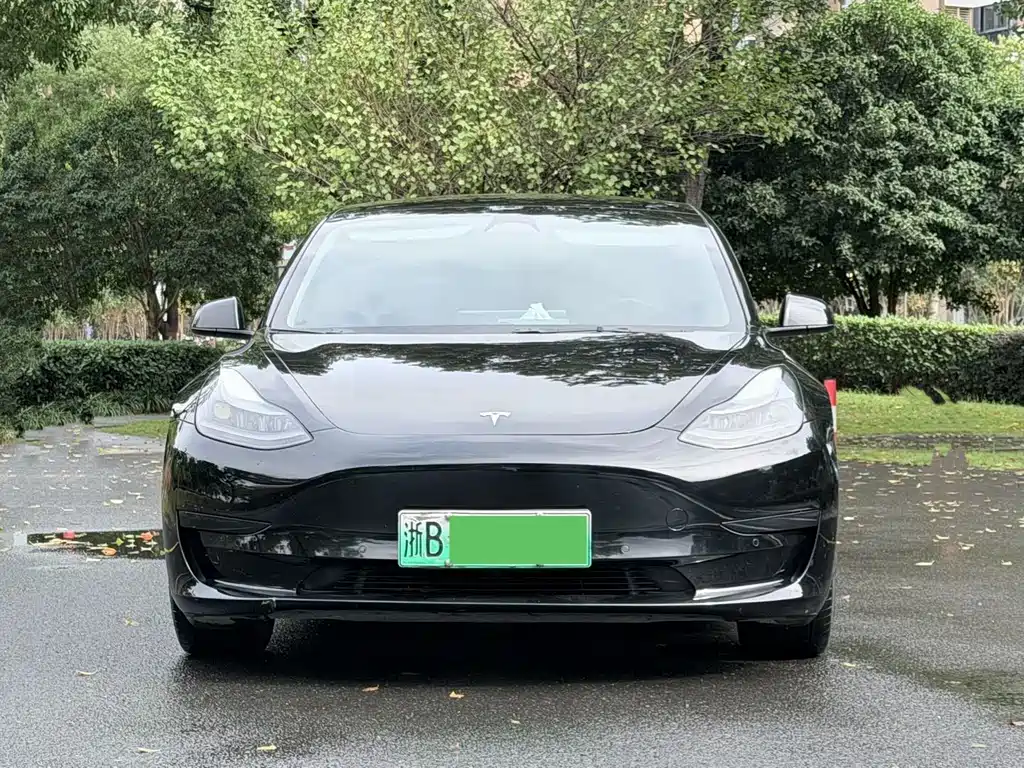 Tesla Model 3 — миниатюра 2