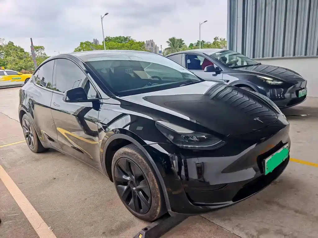 Tesla Model Y — миниатюра 2