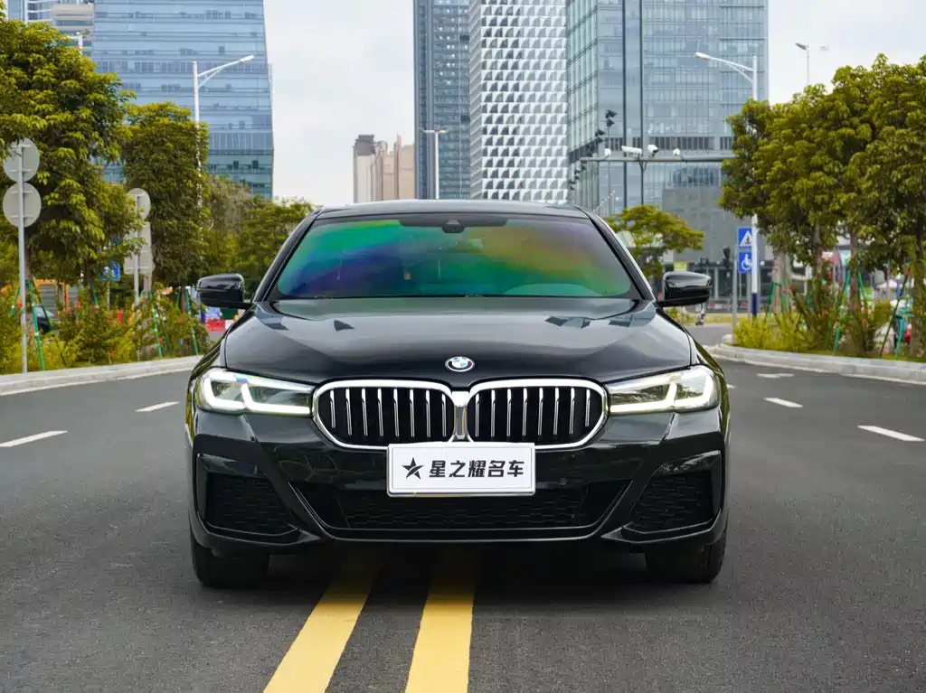 BMW 5 Series — миниатюра 3