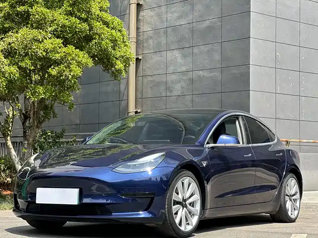 TESLA MODEL 3 2020