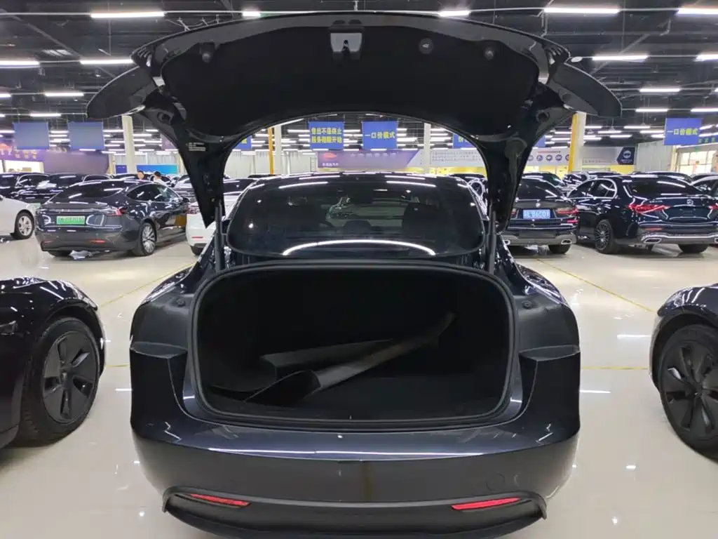 Tesla Model 3 — миниатюра 19