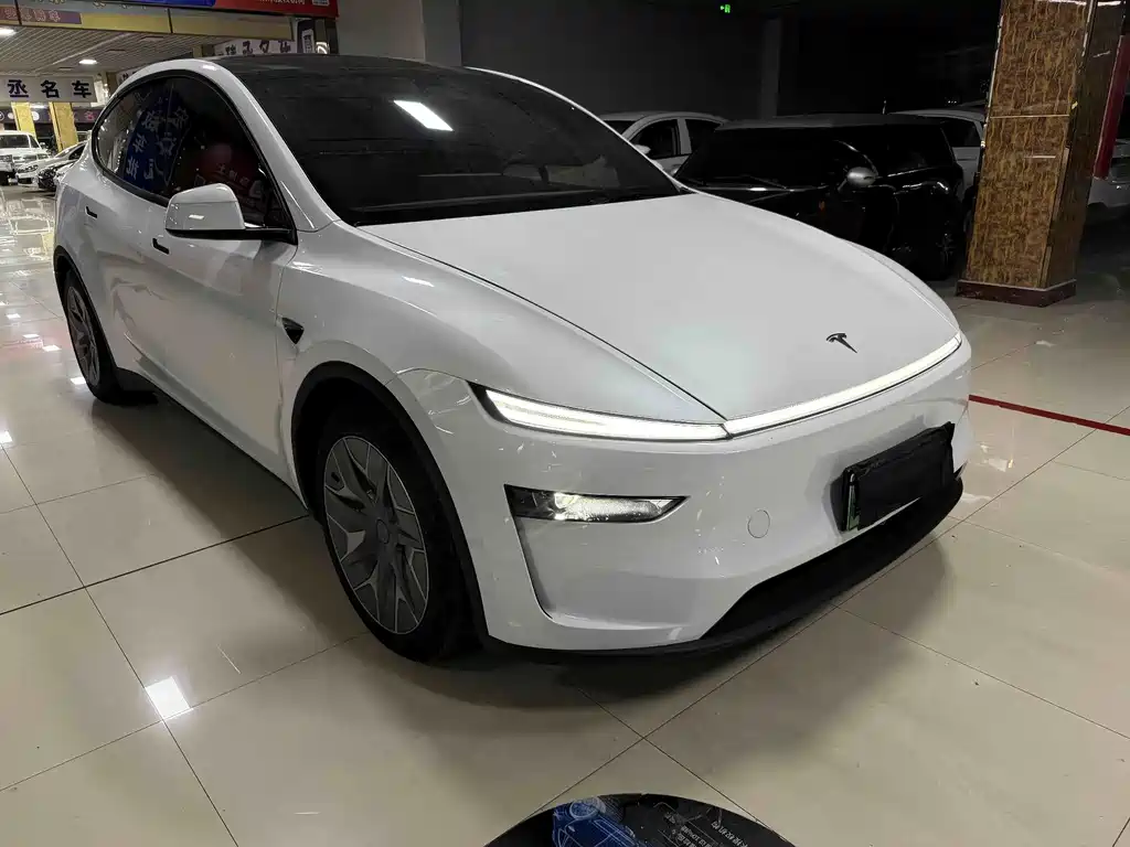 Tesla Model Y L — миниатюра 3