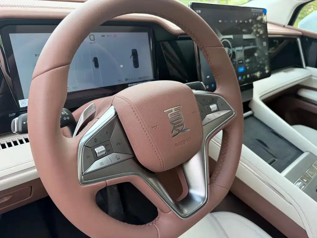 BYD Xia 2025 DM-i 1.5T 100km