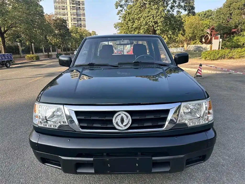DONGFENG RUIQI