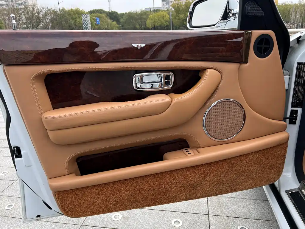 Bentley Elegance — миниатюра 25