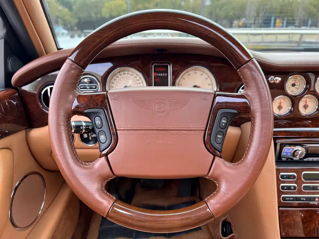 Bentley Elegance — миниатюра 20